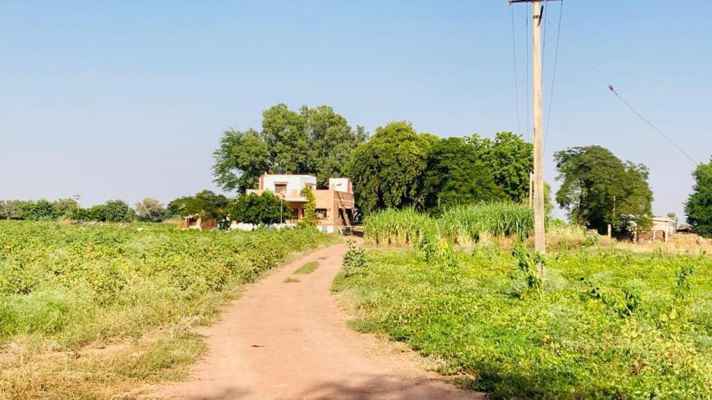 Ananya Farms Paradise Jodhpur  Esterno foto