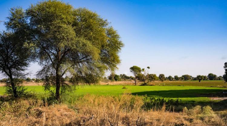 Ananya Farms Paradise Jodhpur  Esterno foto